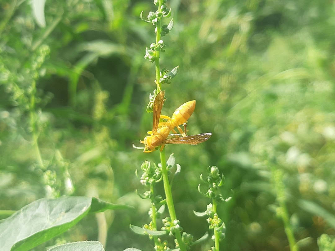 Waterproof mascara veilig verwijderen binnen je beauty-routines